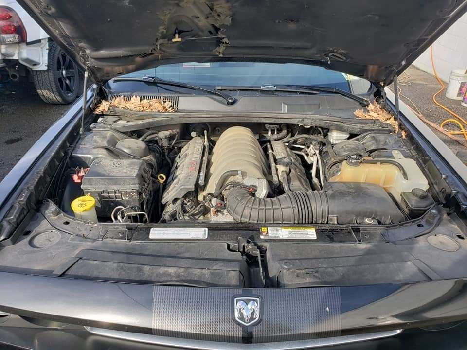 dirty engine bay
